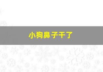 小狗鼻子干了