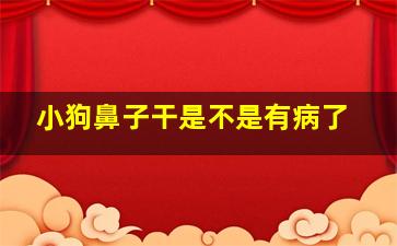 小狗鼻子干是不是有病了