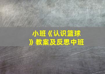 小班《认识篮球》教案及反思中班