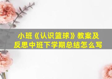 小班《认识篮球》教案及反思中班下学期总结怎么写