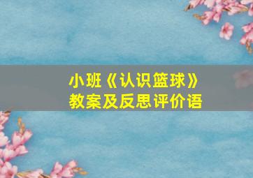 小班《认识篮球》教案及反思评价语