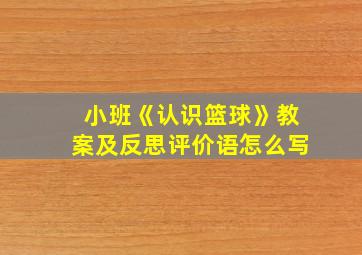 小班《认识篮球》教案及反思评价语怎么写