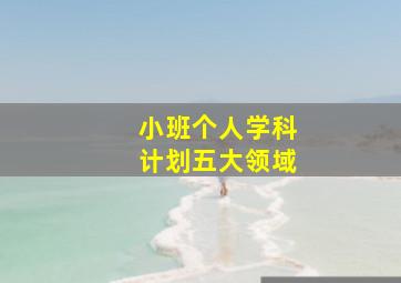 小班个人学科计划五大领域