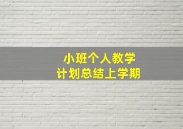 小班个人教学计划总结上学期