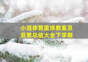 小班体育篮球教案及反思总结大全下学期