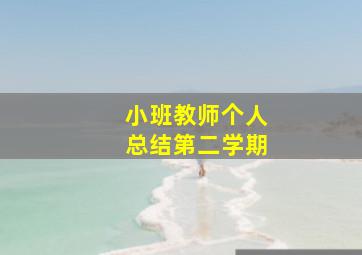 小班教师个人总结第二学期