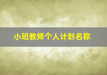 小班教师个人计划名称