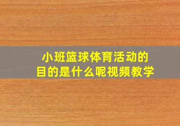 小班篮球体育活动的目的是什么呢视频教学