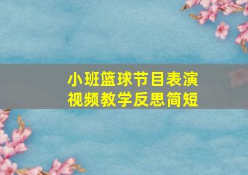 小班篮球节目表演视频教学反思简短