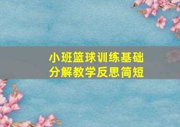 小班篮球训练基础分解教学反思简短