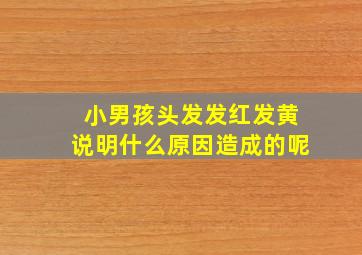 小男孩头发发红发黄说明什么原因造成的呢