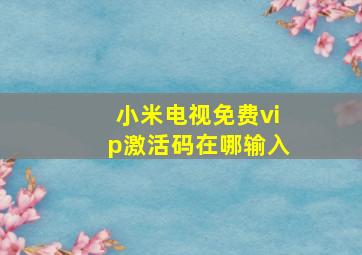 小米电视免费vip激活码在哪输入