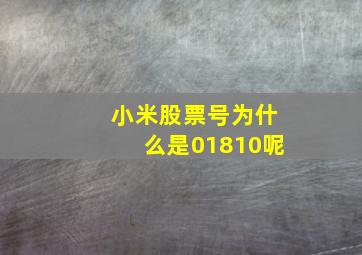 小米股票号为什么是01810呢