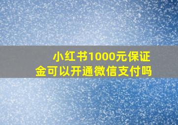 小红书1000元保证金可以开通微信支付吗