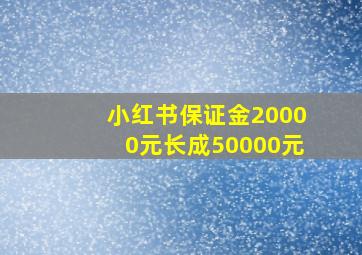 小红书保证金20000元长成50000元