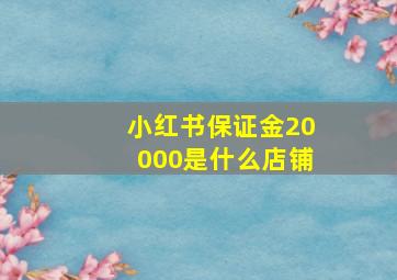 小红书保证金20000是什么店铺