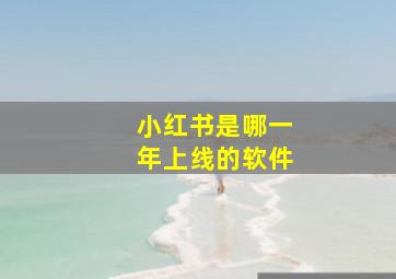 小红书是哪一年上线的软件