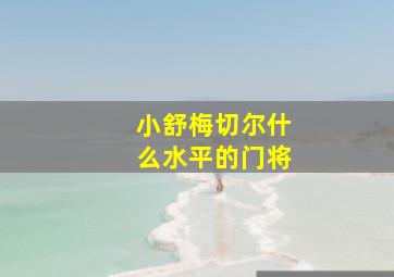 小舒梅切尔什么水平的门将