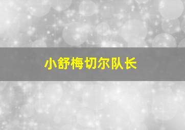 小舒梅切尔队长