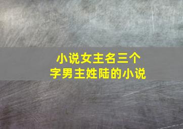 小说女主名三个字男主姓陆的小说