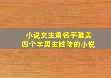 小说女主角名字唯美四个字男主姓陆的小说