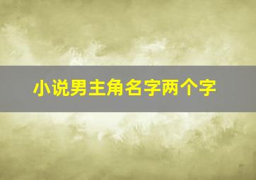 小说男主角名字两个字