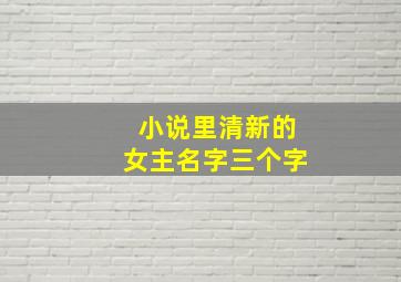 小说里清新的女主名字三个字