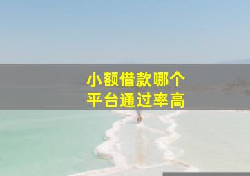 小额借款哪个平台通过率高