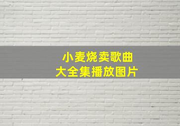 小麦烧卖歌曲大全集播放图片