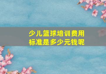 少儿篮球培训费用标准是多少元钱呢