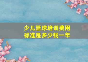 少儿篮球培训费用标准是多少钱一年