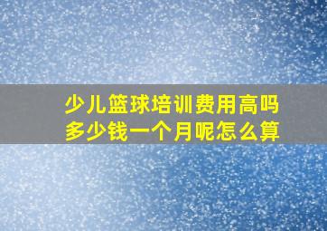 少儿篮球培训费用高吗多少钱一个月呢怎么算