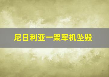 尼日利亚一架军机坠毁