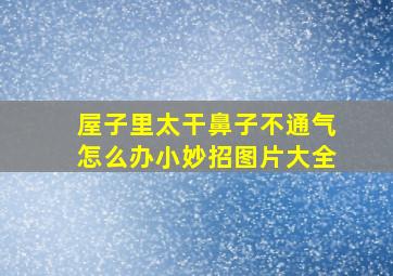 屋子里太干鼻子不通气怎么办小妙招图片大全