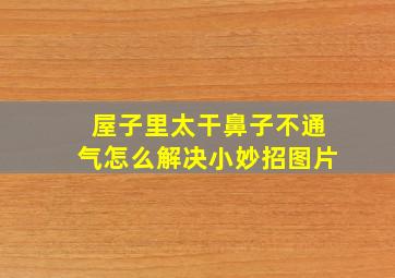 屋子里太干鼻子不通气怎么解决小妙招图片