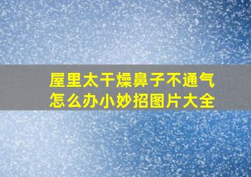 屋里太干燥鼻子不通气怎么办小妙招图片大全