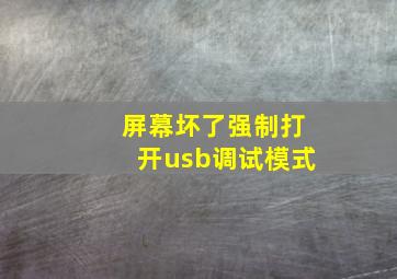 屏幕坏了强制打开usb调试模式