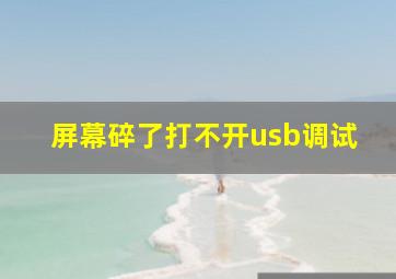 屏幕碎了打不开usb调试