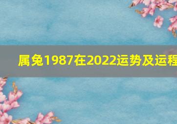 属兔1987在2022运势及运程