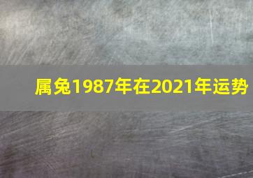 属兔1987年在2021年运势