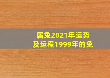 属兔2021年运势及运程1999年的兔