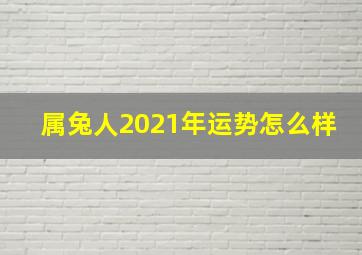 属兔人2021年运势怎么样