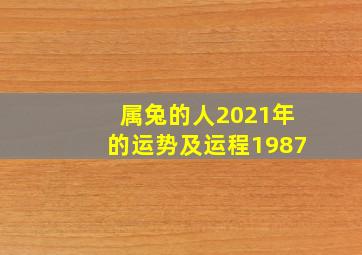 属兔的人2021年的运势及运程1987