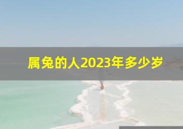 属兔的人2023年多少岁