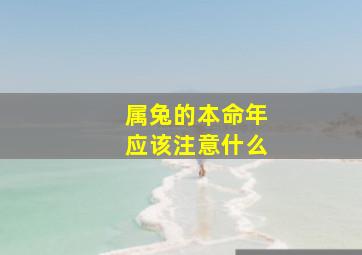 属兔的本命年应该注意什么