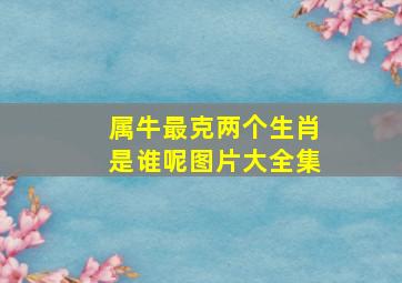 属牛最克两个生肖是谁呢图片大全集