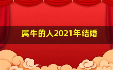 属牛的人2021年结婚