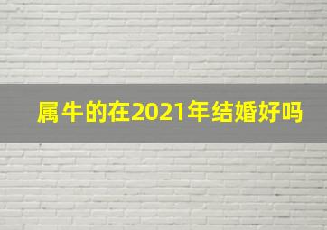 属牛的在2021年结婚好吗