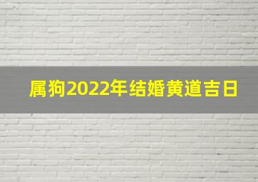 属狗2022年结婚黄道吉日