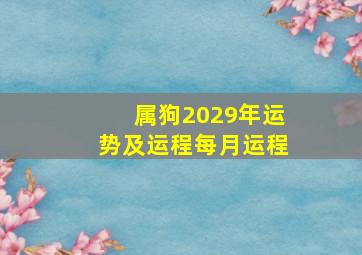 属狗2029年运势及运程每月运程